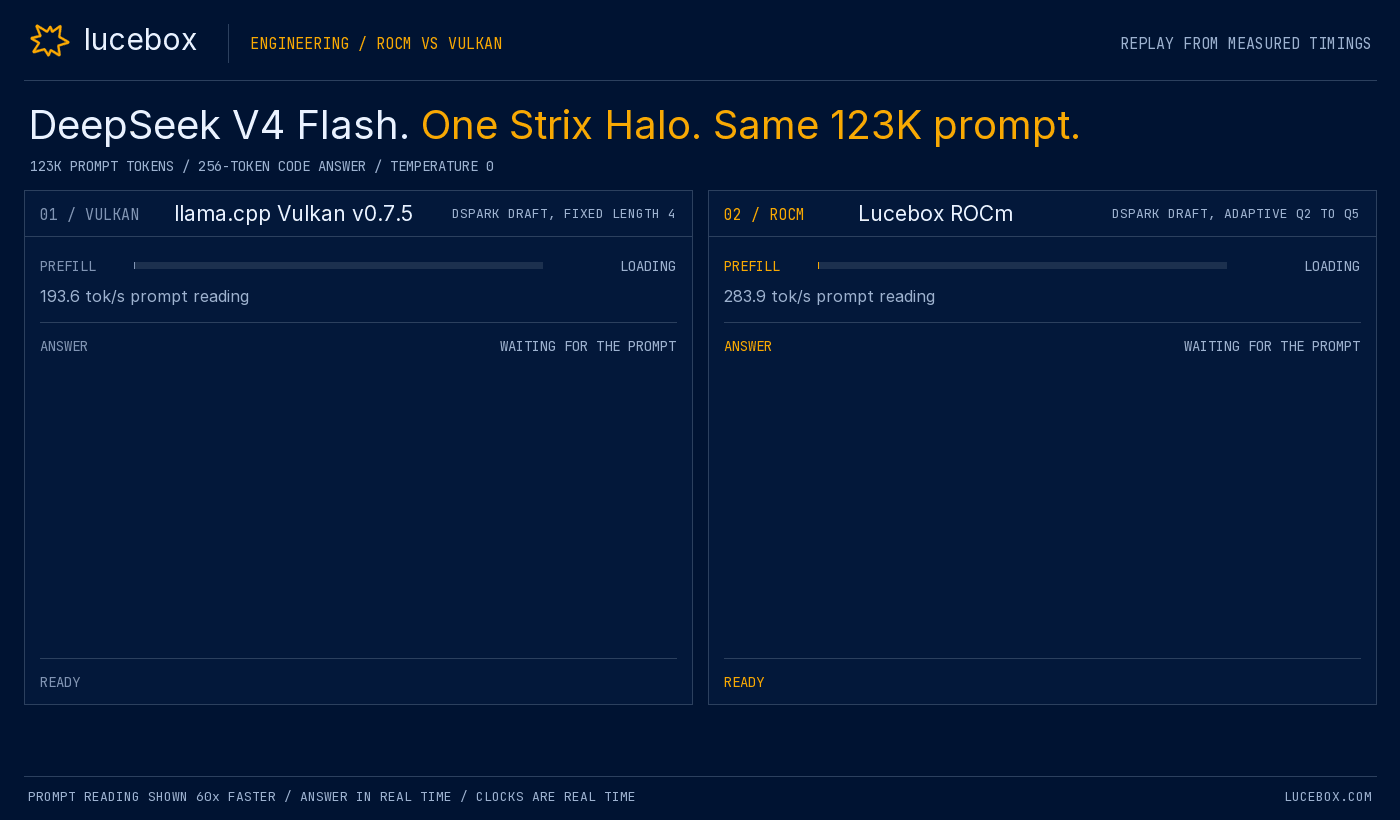 Side-by-side replay of llama.cpp Vulkan and Lucebox ROCm reading a 123K-token prompt and typing a Python answer with DeepSeek V4 Flash on one Strix Halo